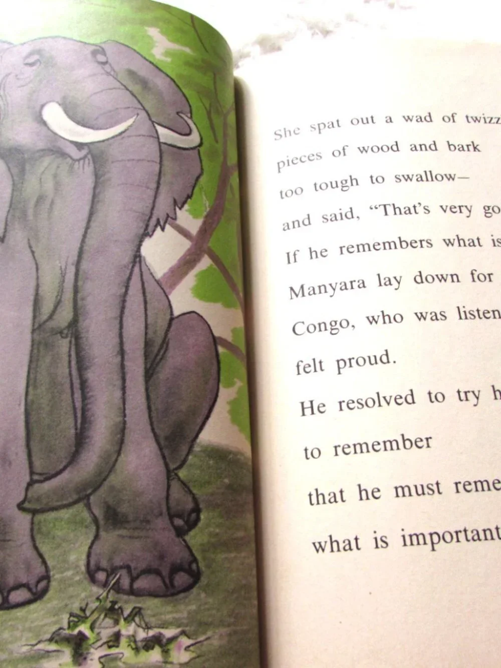 The Elephant Who Couldn't Forget Weekly Reader I Can Read Faith McNulty 1980
